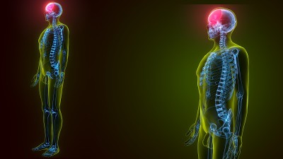 人体骨骼颅骨额骨解剖的3d插图