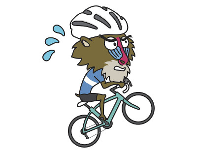 狒狒骑公路自行车爬山