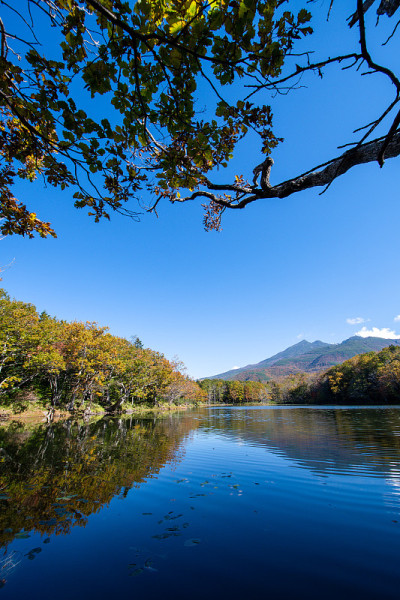 知床五湖(知床五湖)[第四湖]和知床山与秋叶，知床，北海道，日本