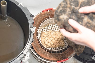 注意淡水水族箱的过滤器。清洁和冲洗
