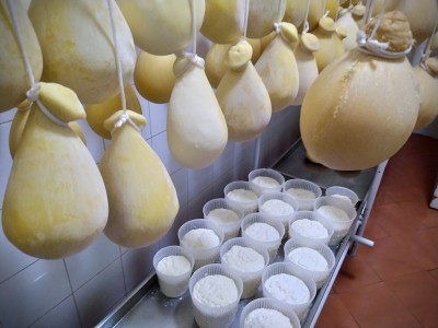 Ricotta cheese