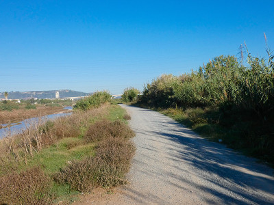 Llobregat河