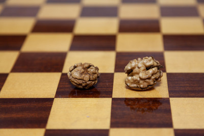 两块去了皮的核桃放在棋盘上