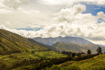 山