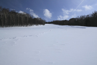 滑雪运行