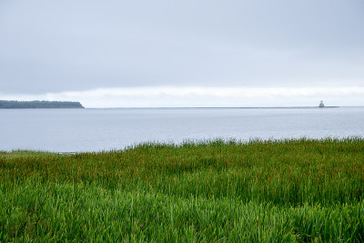 芦苇和草:一个绿色的夏天在Summerside, PEI