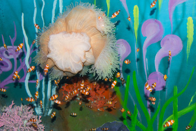 海葵和一群小丑鱼在海洋水族馆。