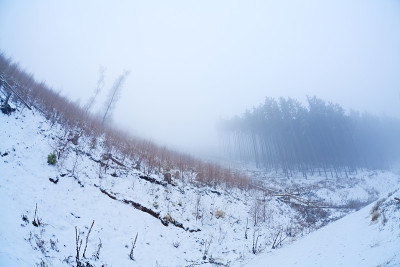 雾和雪在哈尔茨山脉