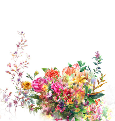 水彩画的叶子和花，在白色的背景