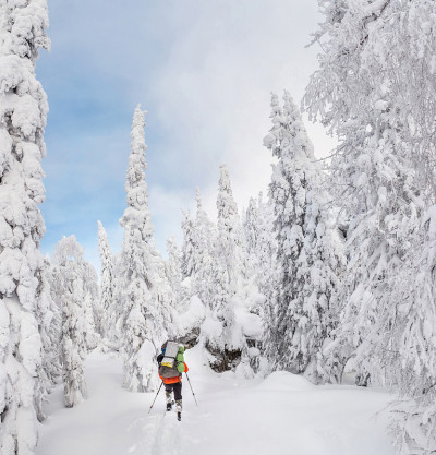 在冬天背包徒步旅行的森林里的Skitour或backcountry滑雪者