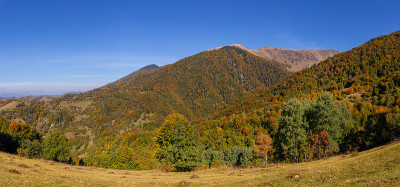 喀尔巴阡山脉美丽的秋天。在晴朗的天气里在山上散步。
