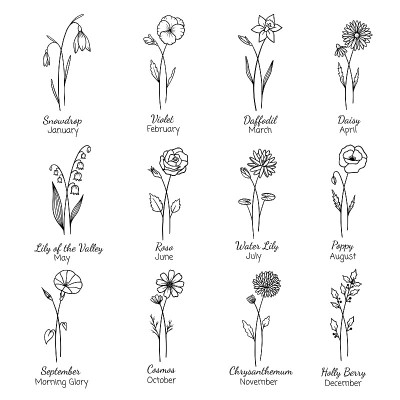 出生月花集。手绘花集。轮廓矢量平面插图。星座，深奥的，纹身。