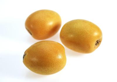 枸杞，枇杷，白底水果