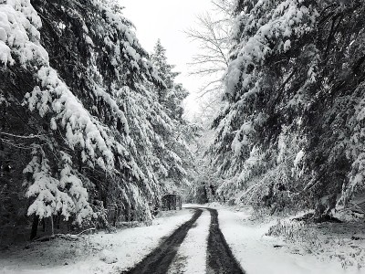 雪路
