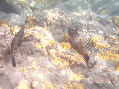 水下