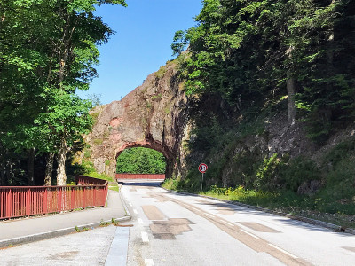 山口