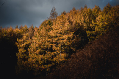 山顶地区的秋天