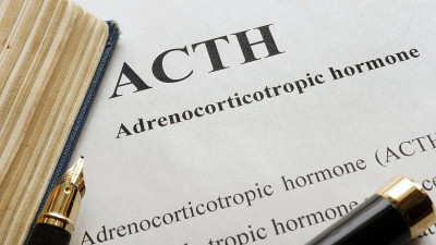 文献:促肾上腺皮质激素(ACTH)。