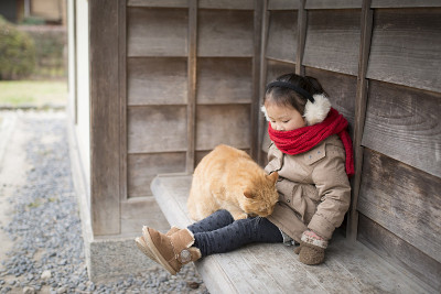 小女孩在和猫玩