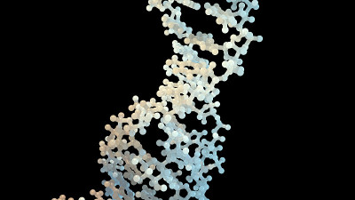 dna分子结构