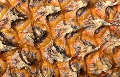 菠萝皮纹理设计特写视图