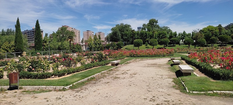 玫瑰花园