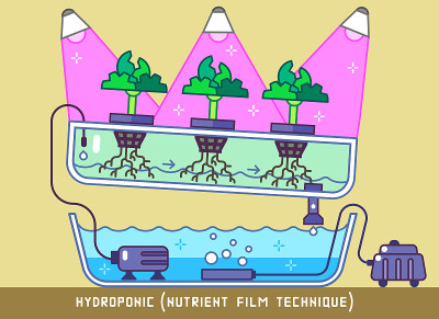水培养分膜技术