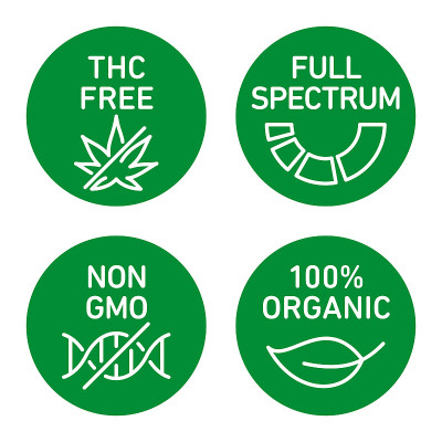 CBD油图标集包括THC免费，100%有机，非转基因，全光谱