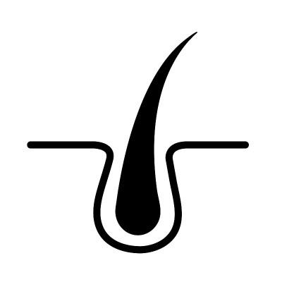 头发根图标材质插图/矢量