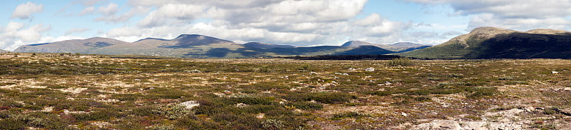 全景景观Dovrefjell-Sunndalsfjella国家公园(挪威