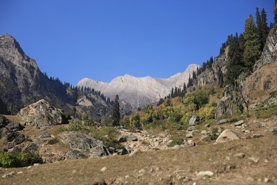 美丽的Pahalgam草地景观