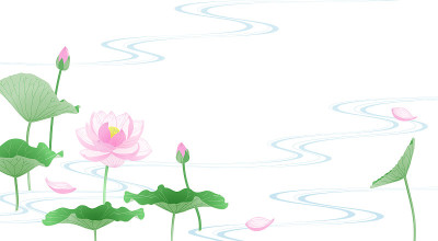 荷花和溪水的背景插图