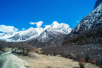 雪山有通往冻奶湖和五色湖的小径。四川,中国