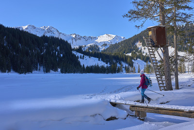 在奥地利Vorarlberg的Kleinwalsertal，一个穿雪鞋的女人