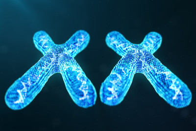 XX数字，人工染色体与携带遗传密码的DNA。遗传学概念，人工智能概念。人类基因组中的二进制代码，未来