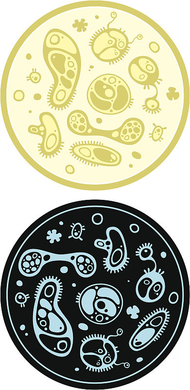 微生物1