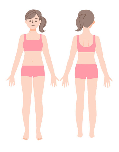 穿着内衣的女人的全身(前胸和后背)