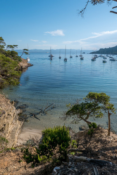 夏天发现波克雷勒斯岛。荒凉的海滩和松树在法国里维埃拉的景观