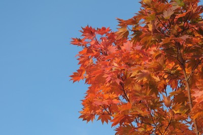 Mt.norikura70