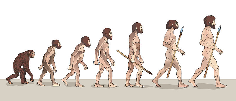 人类进化。人类进化。历史插图。