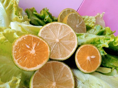 片橙子