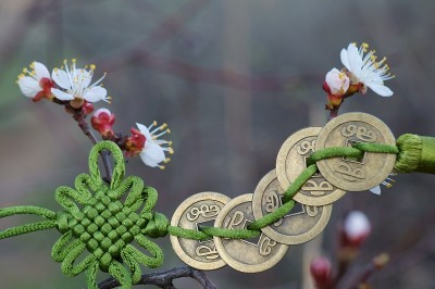中国硬币在樱花上打成一个结。