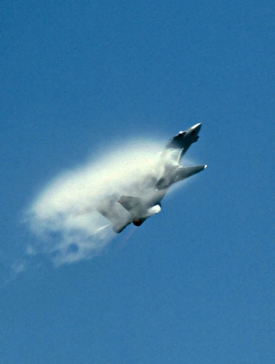 F-14 VF-124