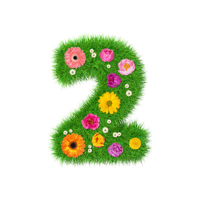 2 .用小草和五彩缤纷的花朵，以春季概念为平面拼贴设计。