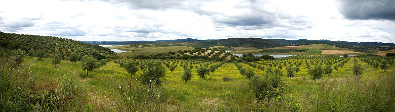 全景农村andalousie