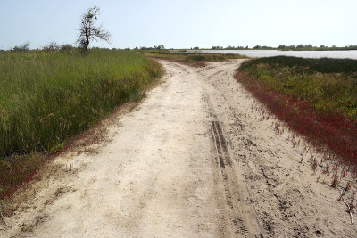 背景中的道路