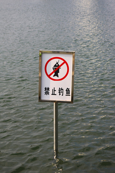 禁止钓鱼的广告牌
