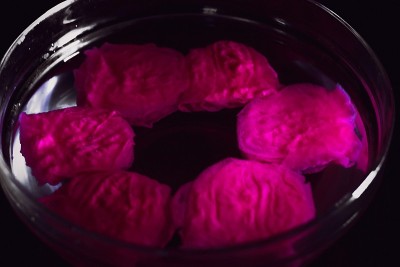 粉红色的物质