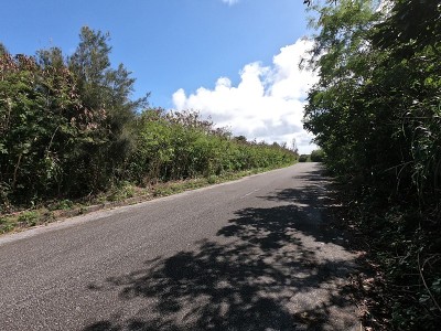 Irabu-jima岛的农场道路