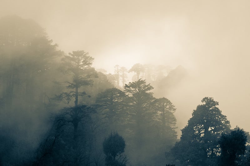 多丘拉山口有雾